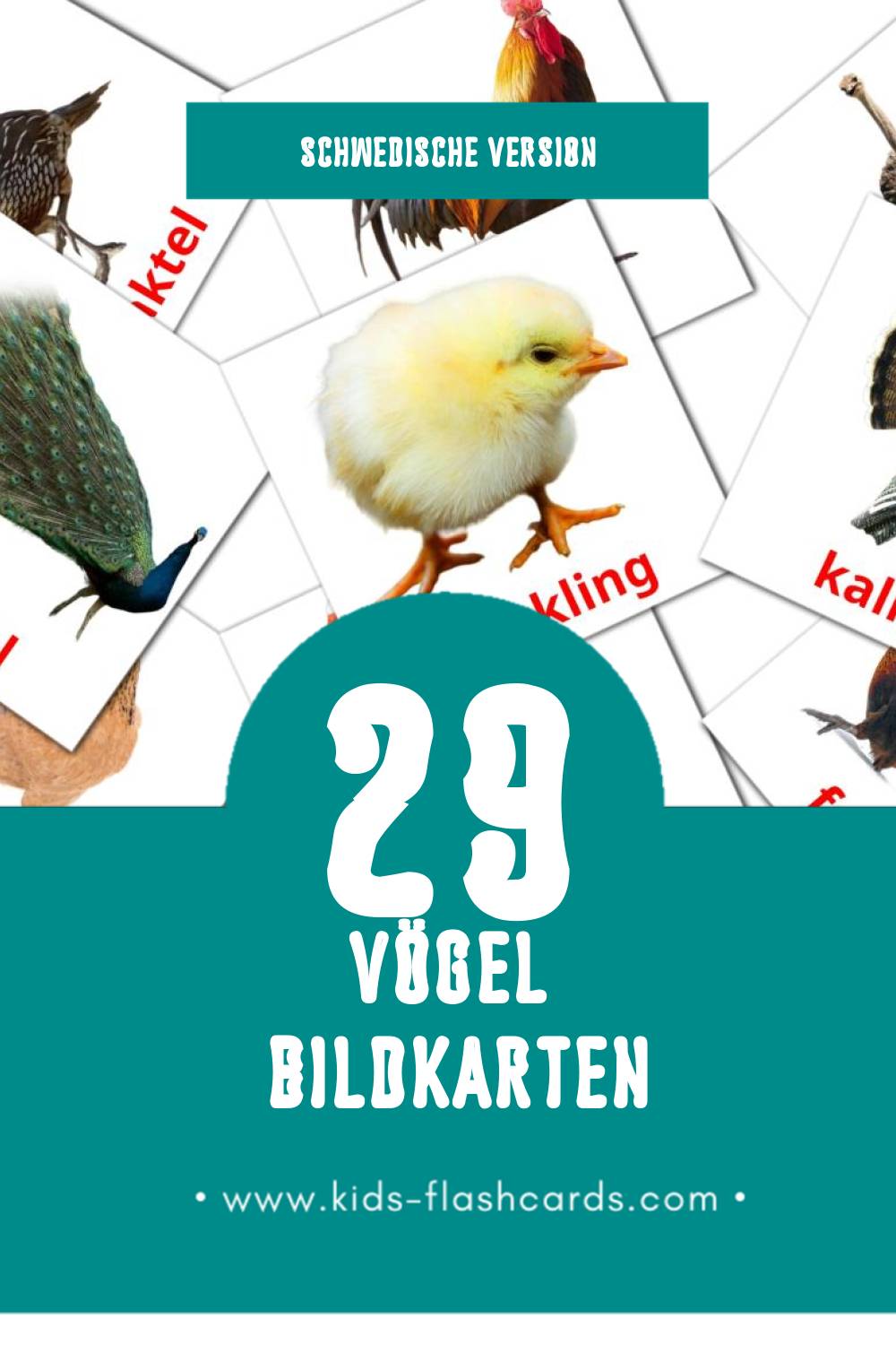 Visual Fåglar Flashcards für Kleinkinder (29 Karten in Schwedisch)
