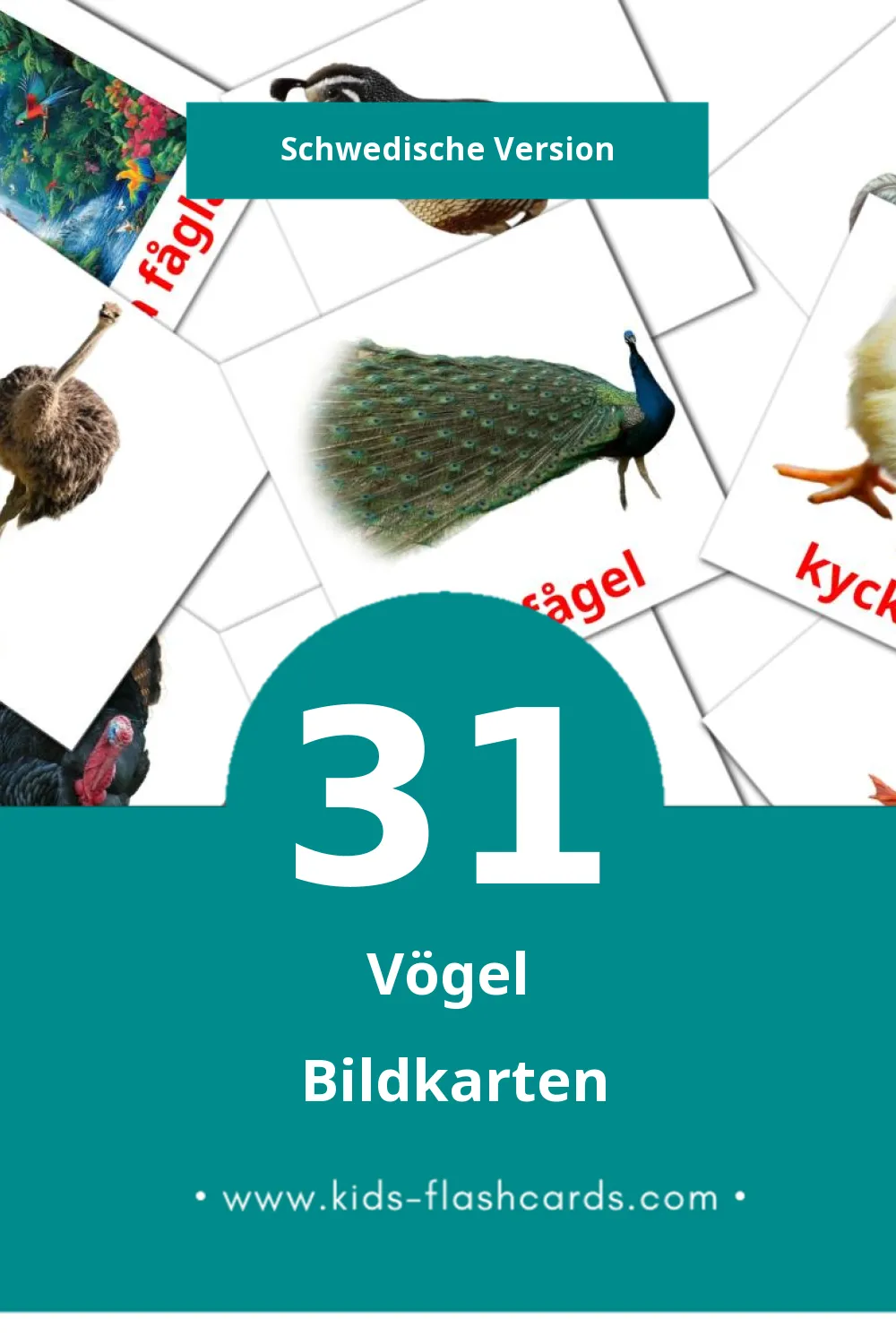 Visual Fåglar Flashcards für Kleinkinder (31 Karten in Schwedisch)