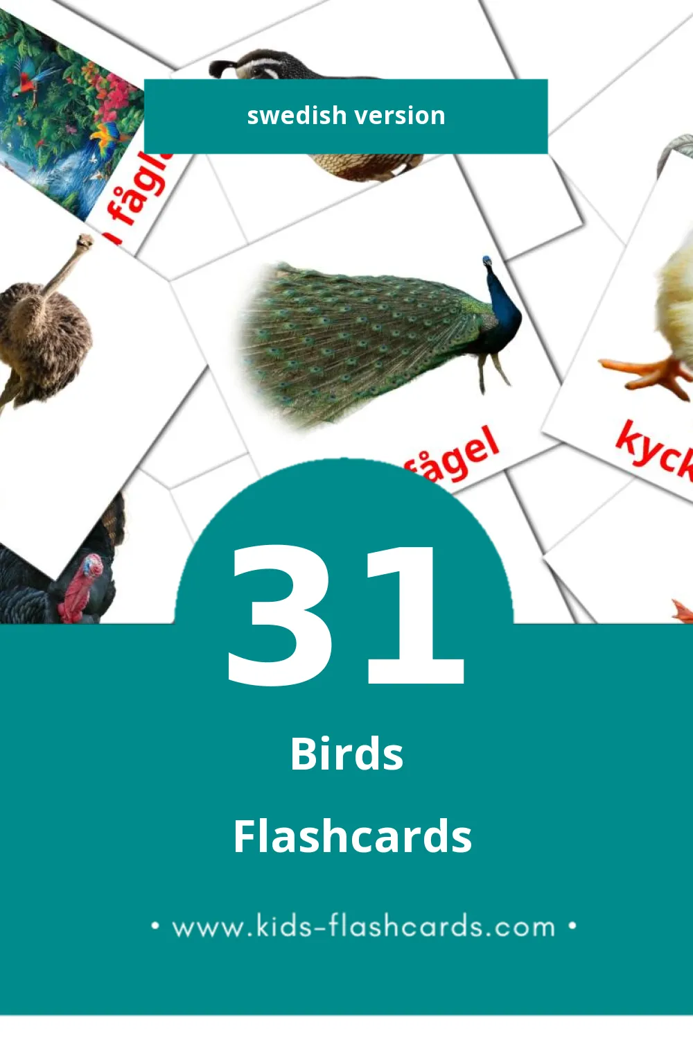 Visual Fåglar Flashcards for Toddlers (31 cards in Swedish)