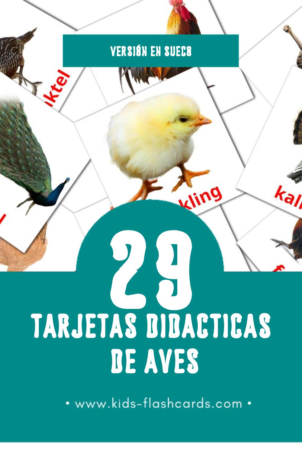 Tarjetas visuales de Fåglar para niños pequeños (29 tarjetas en Sueco)