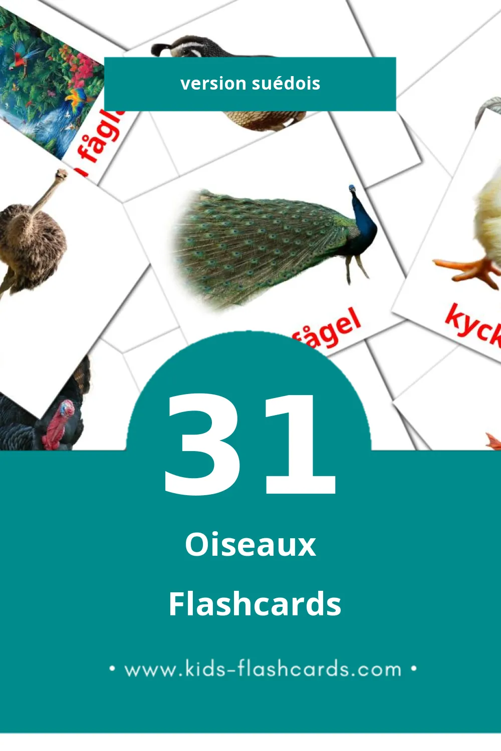 Flashcards Visual Fåglar pour les tout-petits (31 cartes en Suédois)