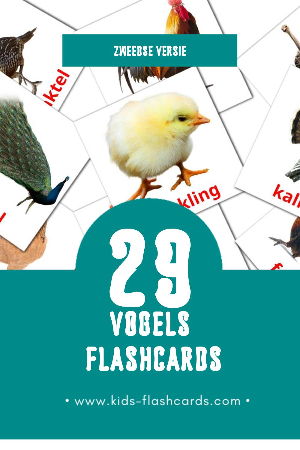 Visuele Fåglar Flashcards voor Kleuters (29 kaarten in het Zweeds)