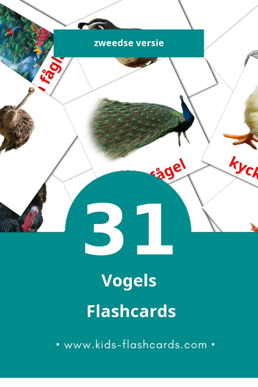 Visuele Fåglar Flashcards voor Kleuters (31 kaarten in het Zweeds)