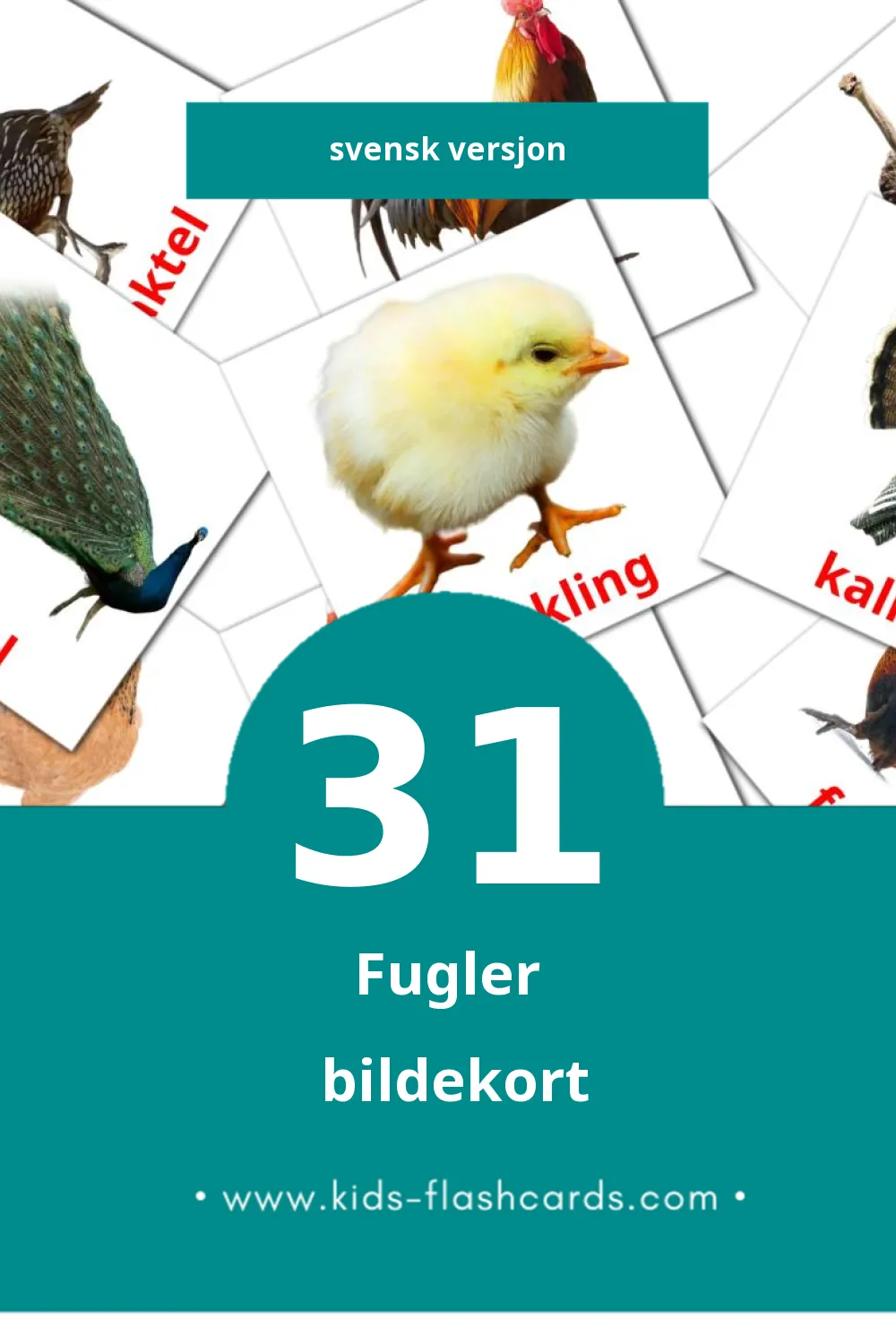 Visuelle Fåglar bildekort for småbarn (31 kort på Svensk)