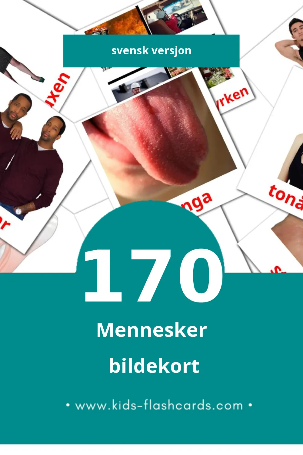 Visuelle Folk bildekort for småbarn (170 kort på Svensk)