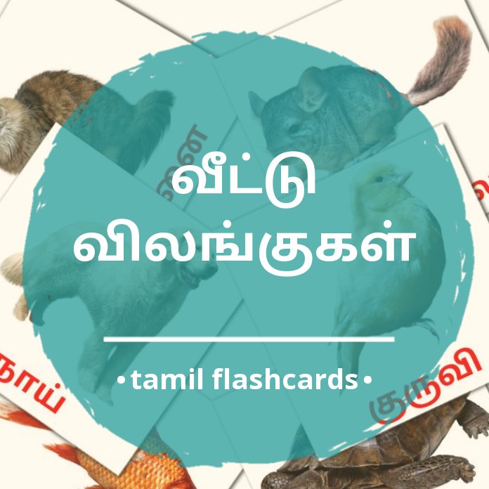 10 FREE Domestic animals Flashcards in 4 PDF formats | Tamil Pictures