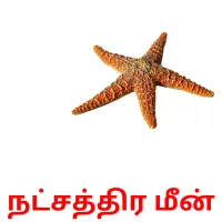 நட்சத்திர மீன் карточки энциклопедических знаний