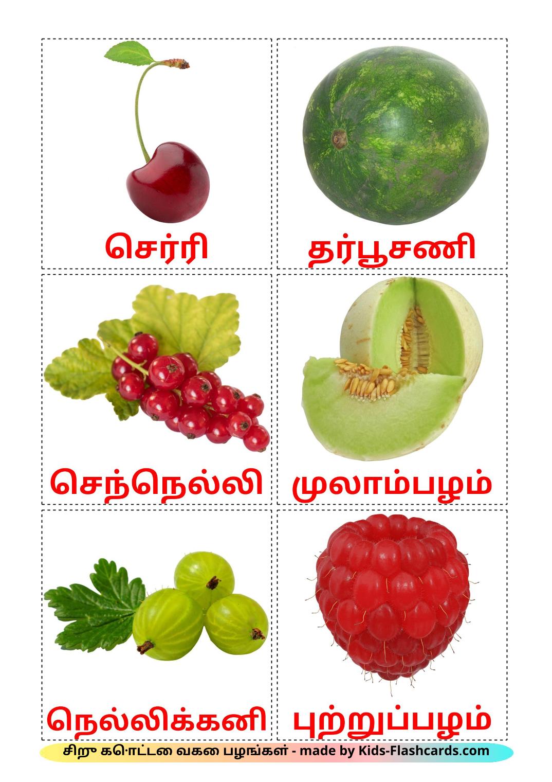 Baies - 11 Flashcards tamil imprimables gratuitement