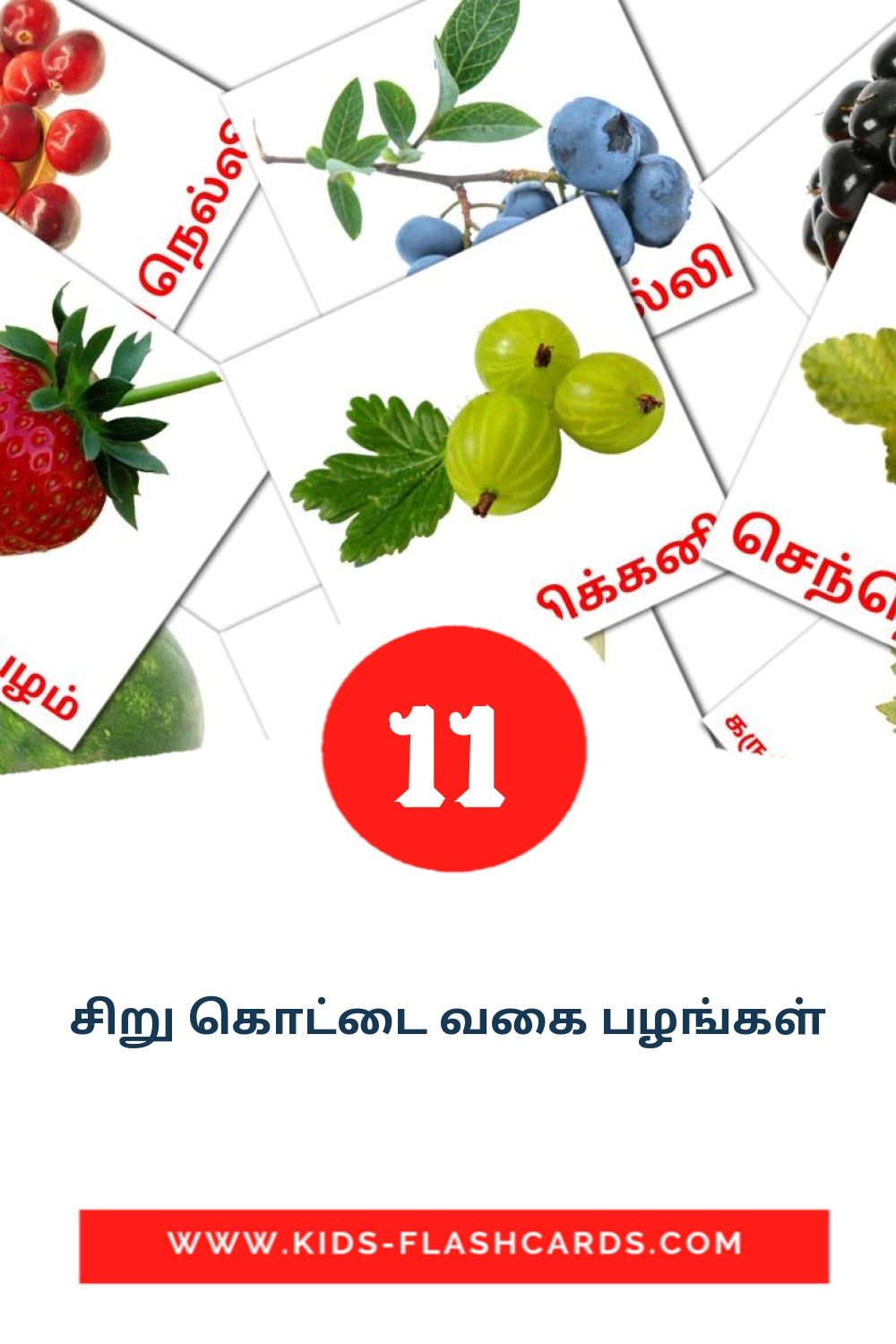 11 cartes illustrées de சிறு கொட்டை வகை பழங்கள் pour la maternelle en tamil