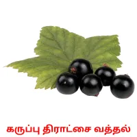 கருப்பு திராட்சை வத்தல் picture flashcards