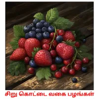 சிறு கொட்டை வகை பழங்கள் picture flashcards