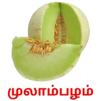 முலாம்பழம் picture flashcards