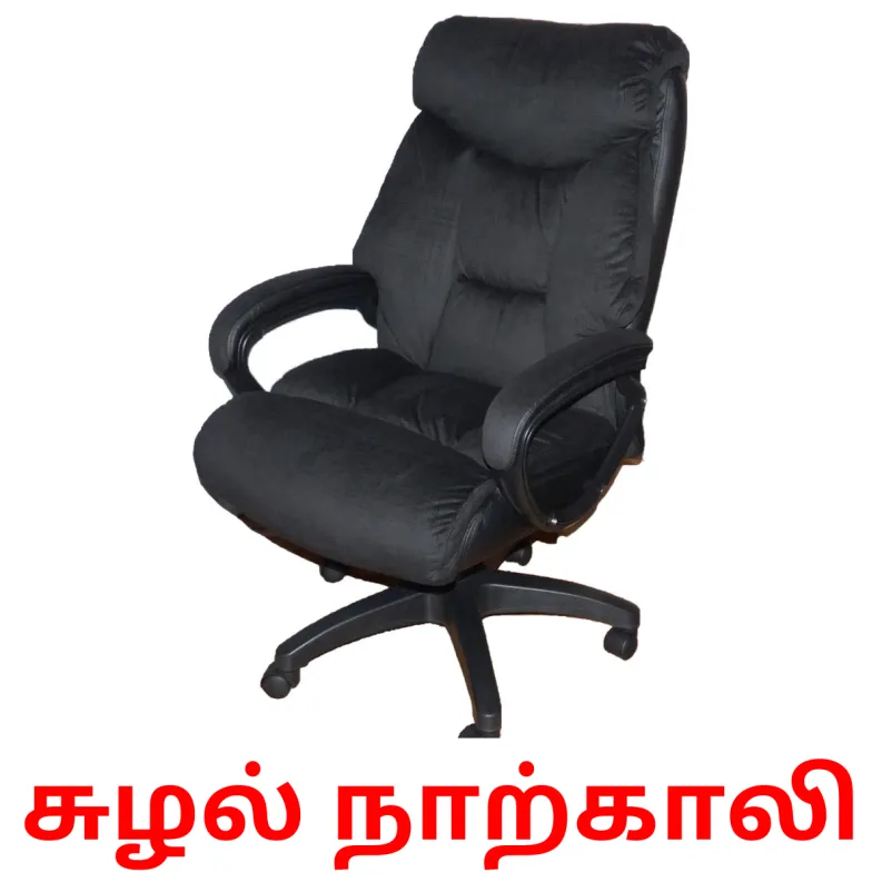 28 FREE Furniture Flashcards PDF Tamil Words