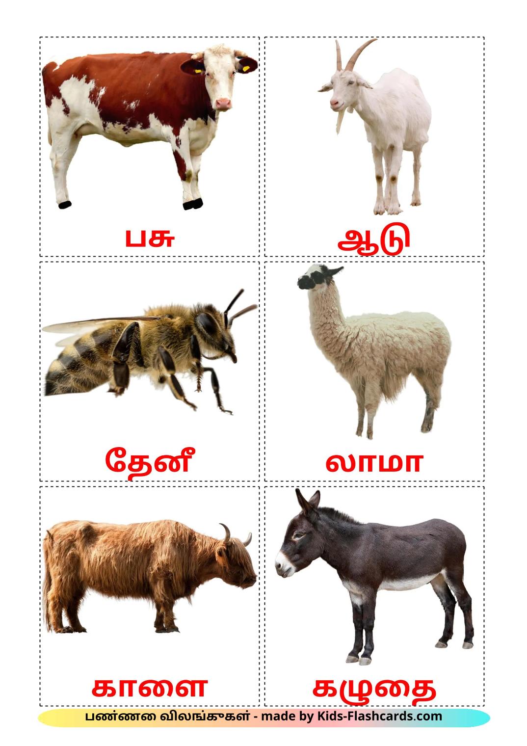 Farm animals - 16 Free Printable tamil Flashcards 