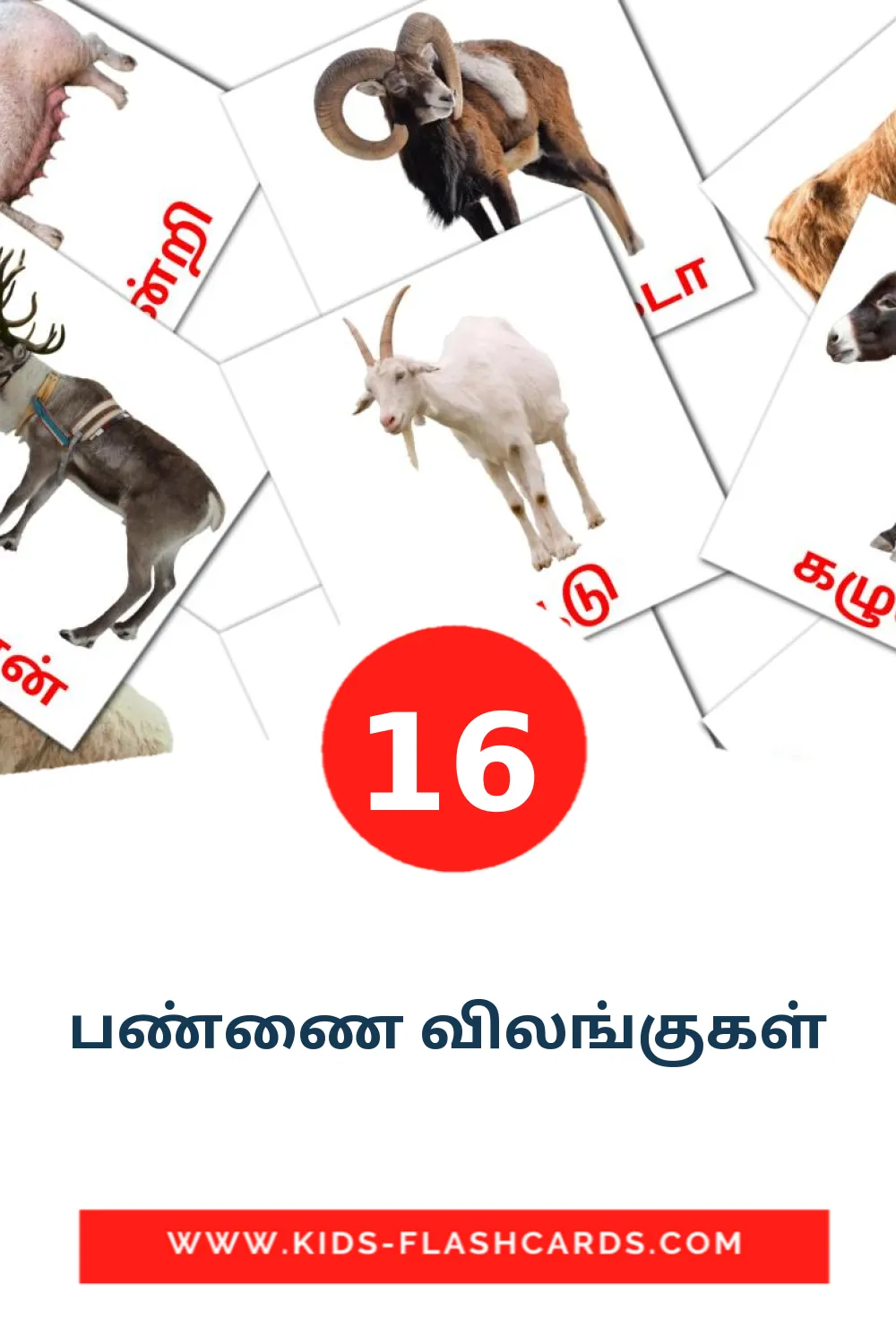 16 பண்ணை விலங்குகள் Picture Cards for Kindergarden in tamil