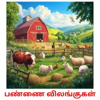 பண்ணை விலங்குகள் picture flashcards