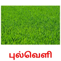 புல்வெளி Bildkarten für Kinder
