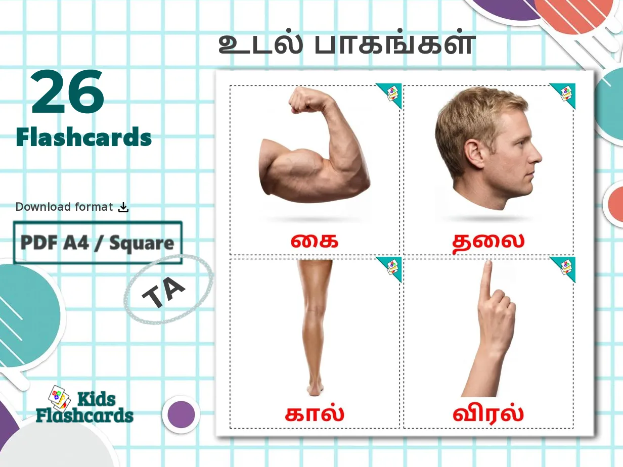 26 Printable Body Parts Flashcards in Tamil (Free PDF)