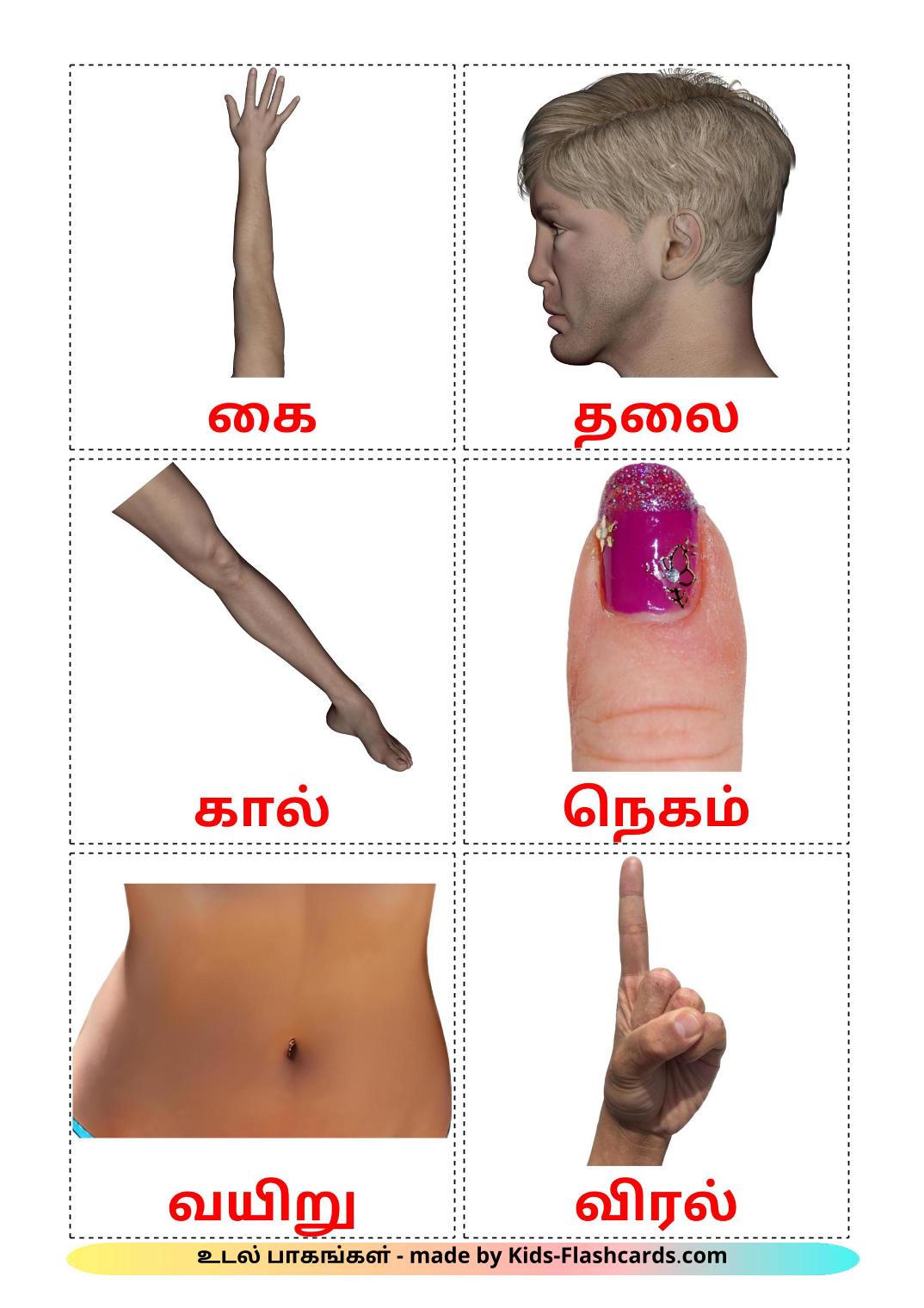 Body Parts - 26 Free Printable tamil Flashcards 