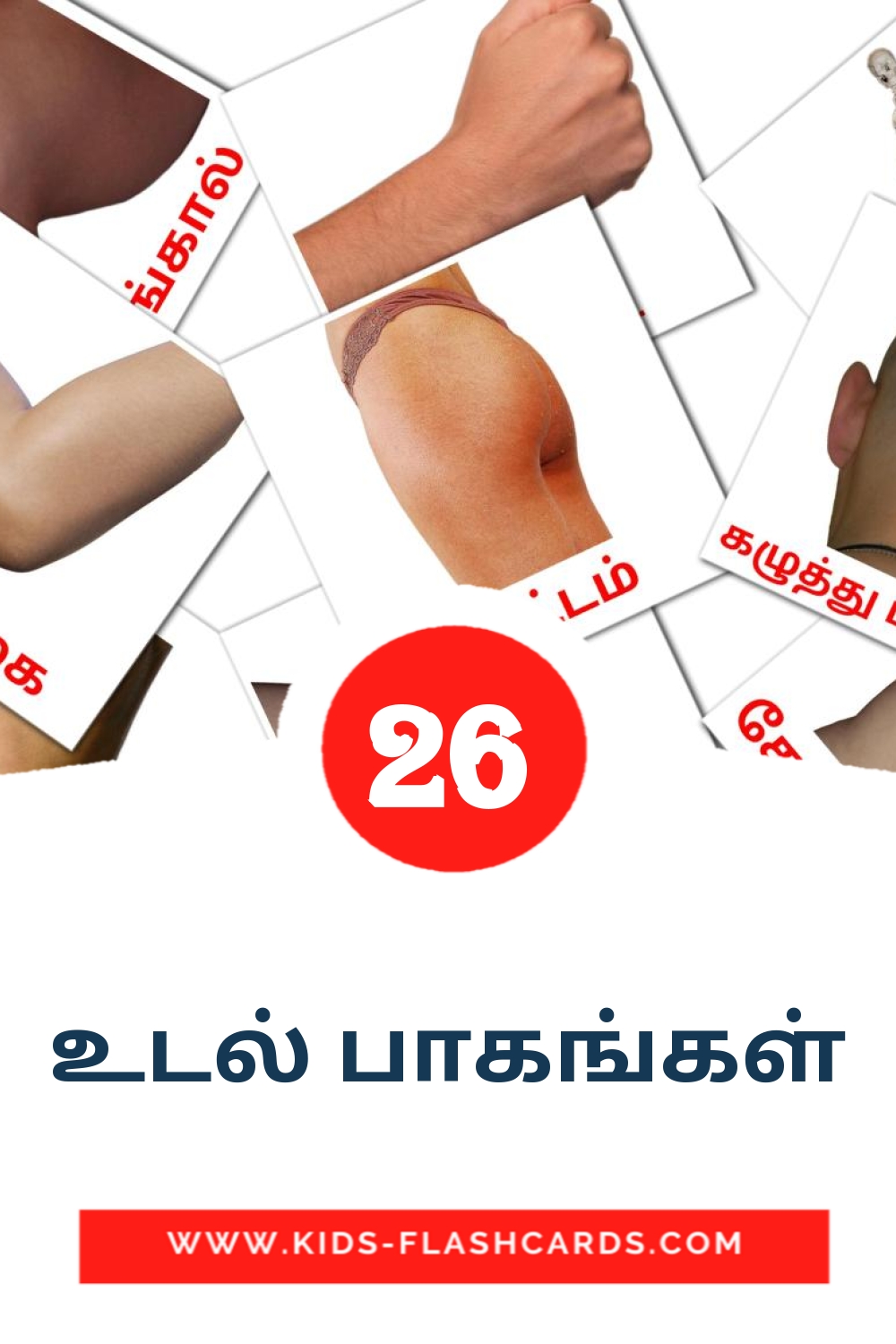 26 உடல் பாகங்கள் Picture Cards for Kindergarden in tamil
