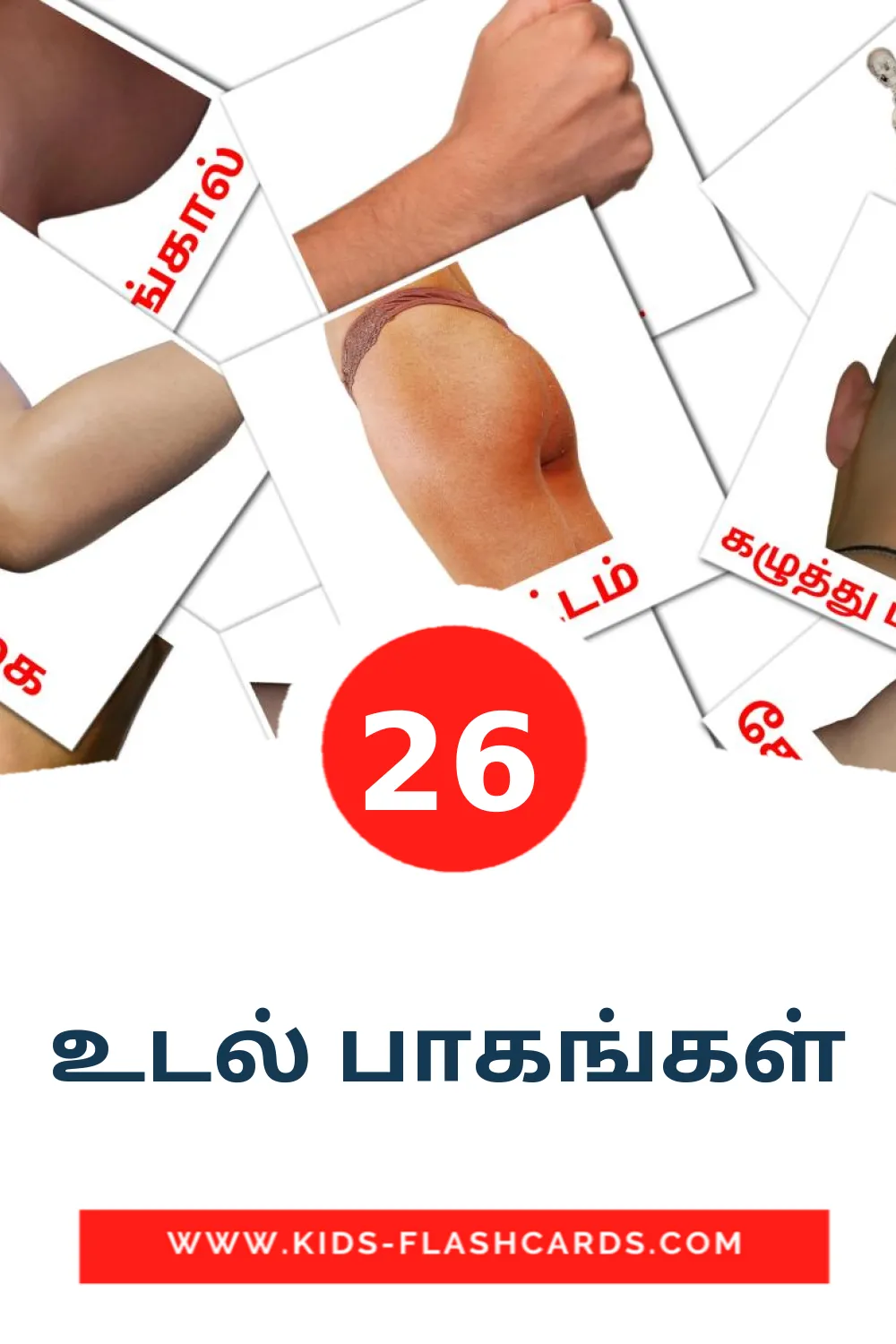 26 carte illustrate di உடல் பாகங்கள் per la scuola materna in tamil