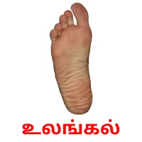 உலங்கல் flashcards illustrate