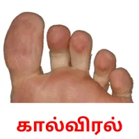 கால்விரல் flashcards illustrate