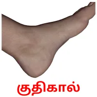 குதிகால் flashcards illustrate