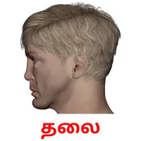 தலை flashcards illustrate