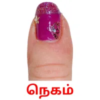 நெகம் flashcards illustrate