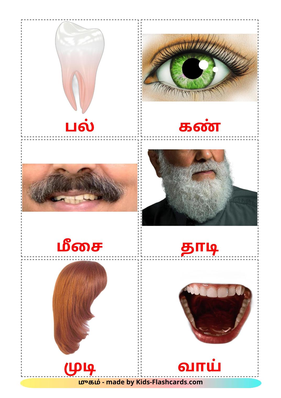 Face - 20 Free Printable tamil Flashcards 