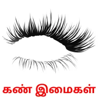 கண் இமைகள் Tarjetas didacticas