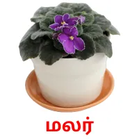 மலர் flashcards illustrate