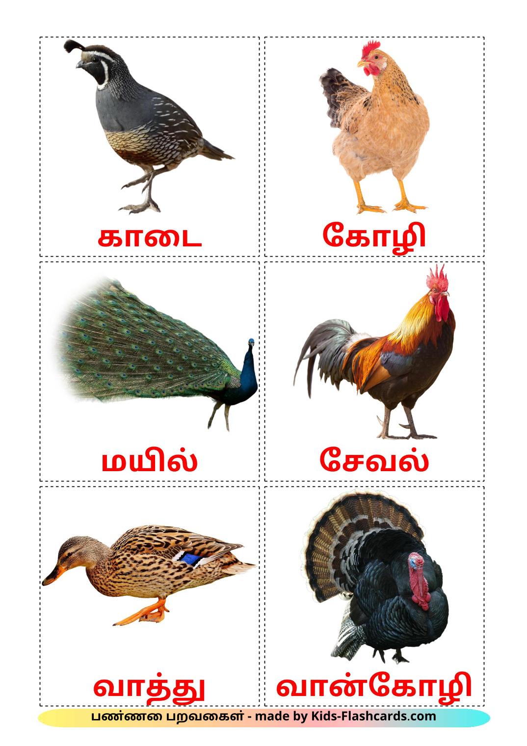 Les Oiseaux de Ferme - 11 Flashcards tamil imprimables gratuitement