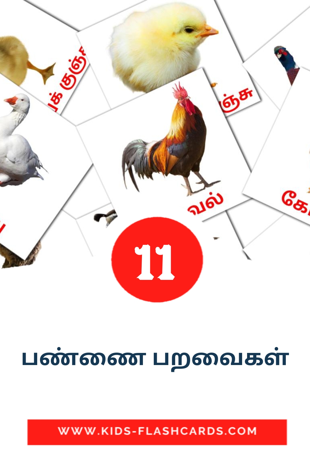 11 cartes illustrées de பண்ணை பறவைகள் pour la maternelle en tamil