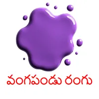 వంగపండు రంగు picture flashcards