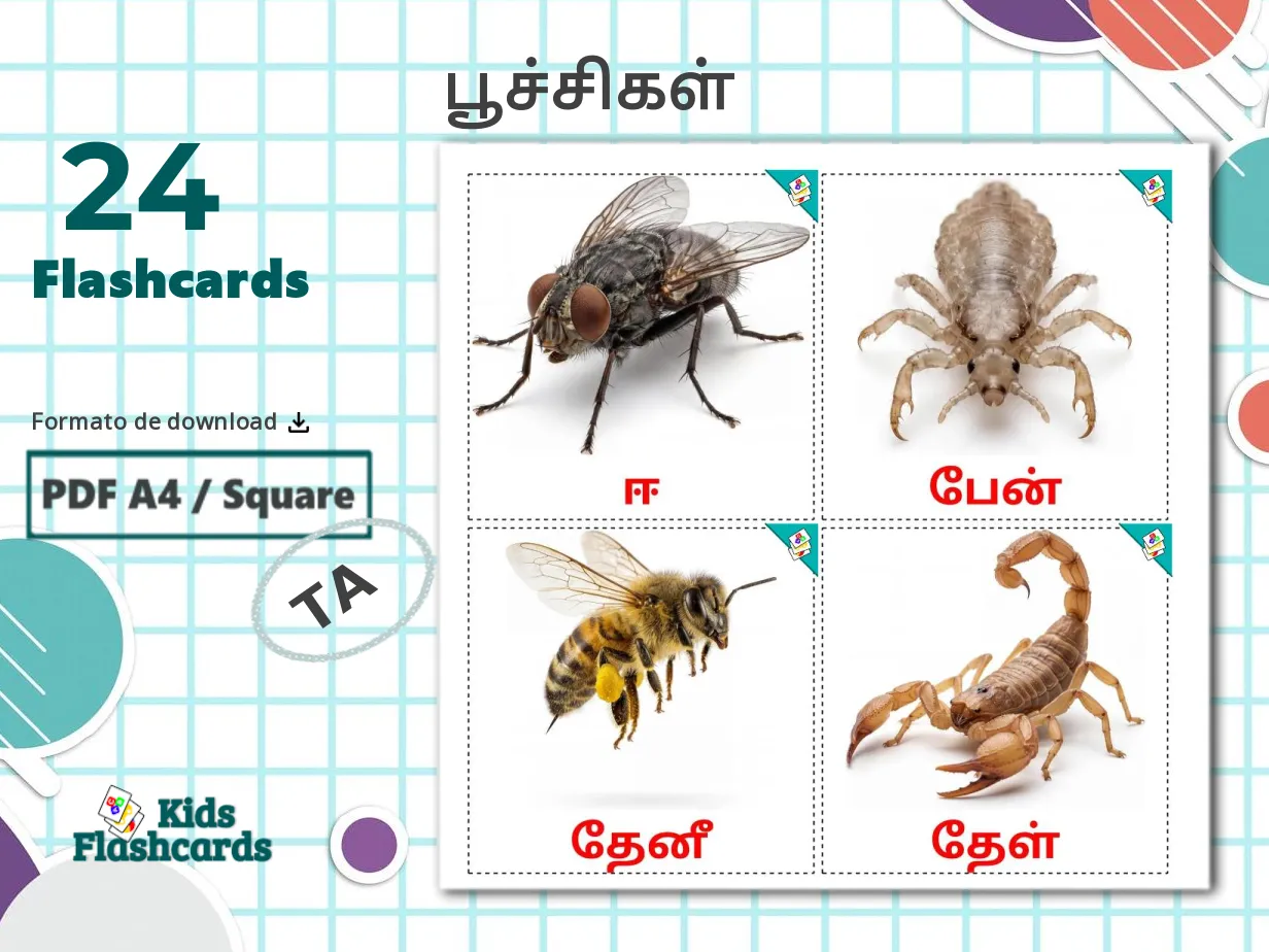 24 Cartões linguagem de Insetos GRÁTIS em 4 formatos PDF | Tamil Pictures