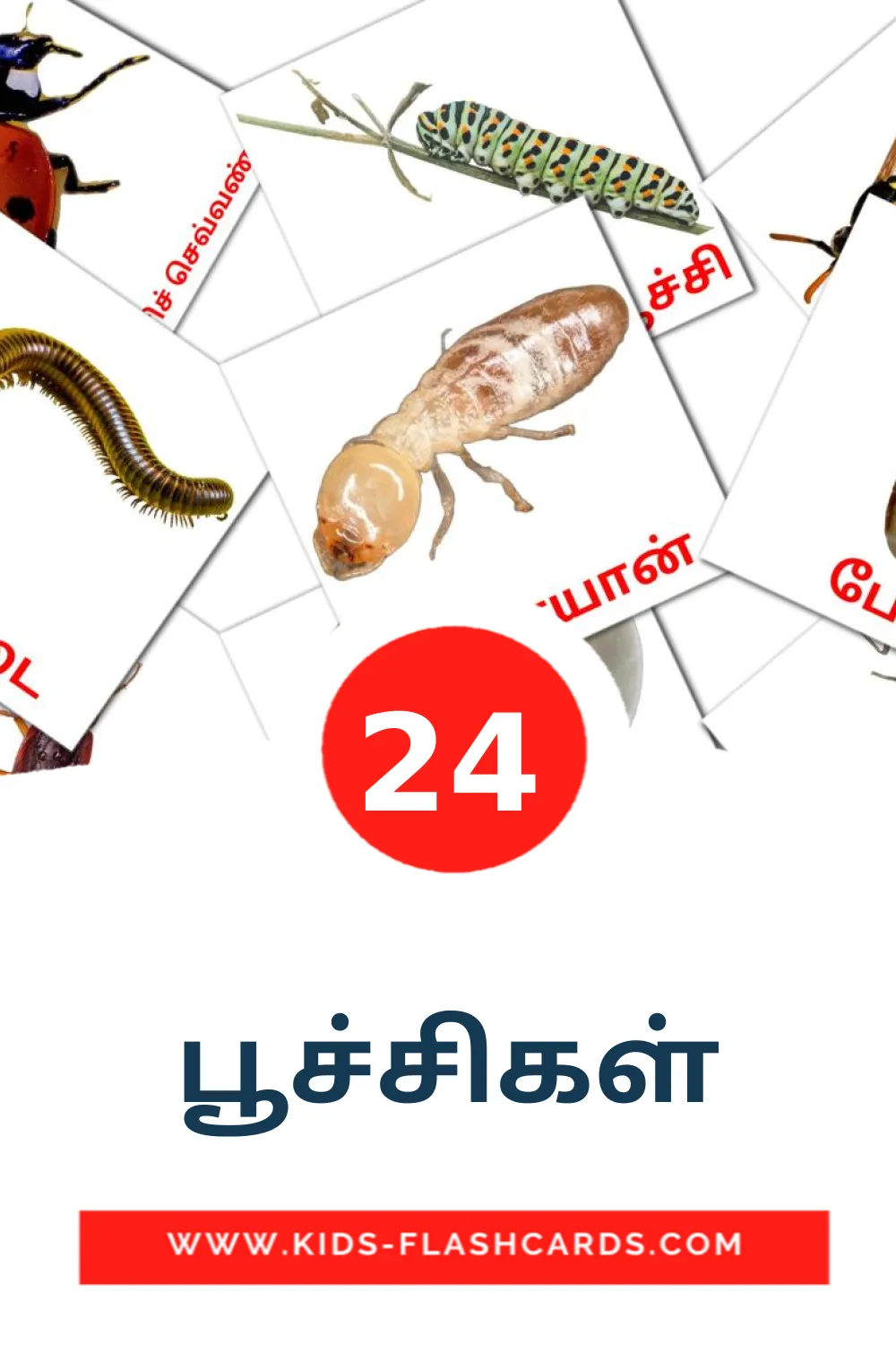 24 பூச்சிகள் fotokaarten voor kleuters in het tamil