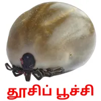 தூசிப் பூச்சி ansichtkaarten