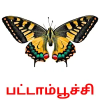 பட்டாம்பூச்சி ansichtkaarten