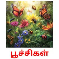 பூச்சிகள் ansichtkaarten