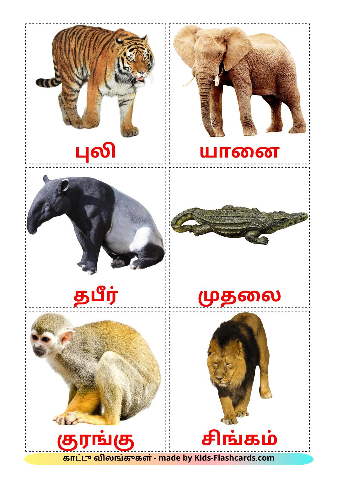 Animali della giungla - 21 flashcards tamil stampabili gratuitamente