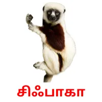 சிஃபாகா Bildkarteikarten