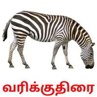 வரிக்குதிரை Bildkarteikarten