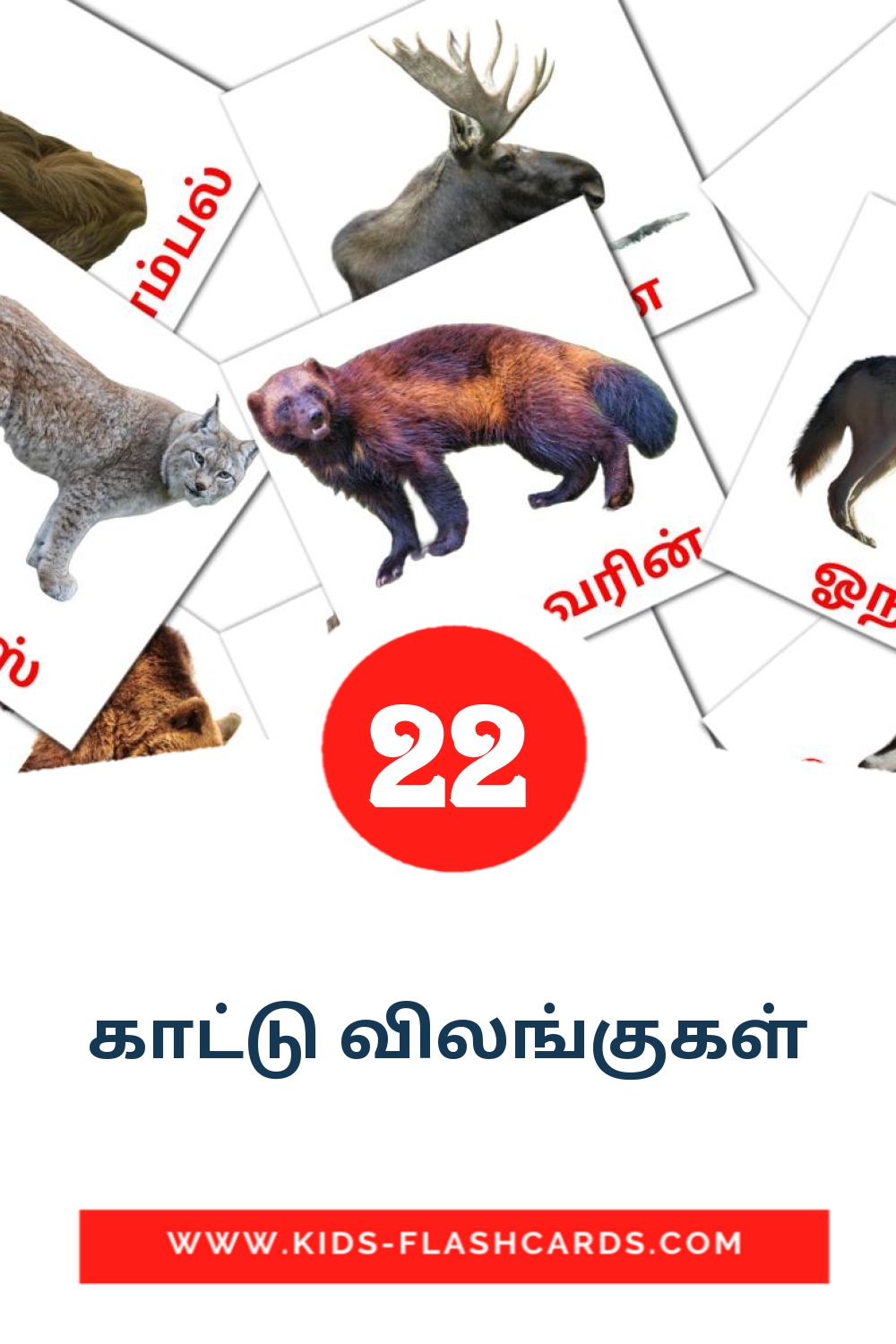 22 cartes illustrées de ​ ​காட்டு விலங்குகள்  pour la maternelle en tamil