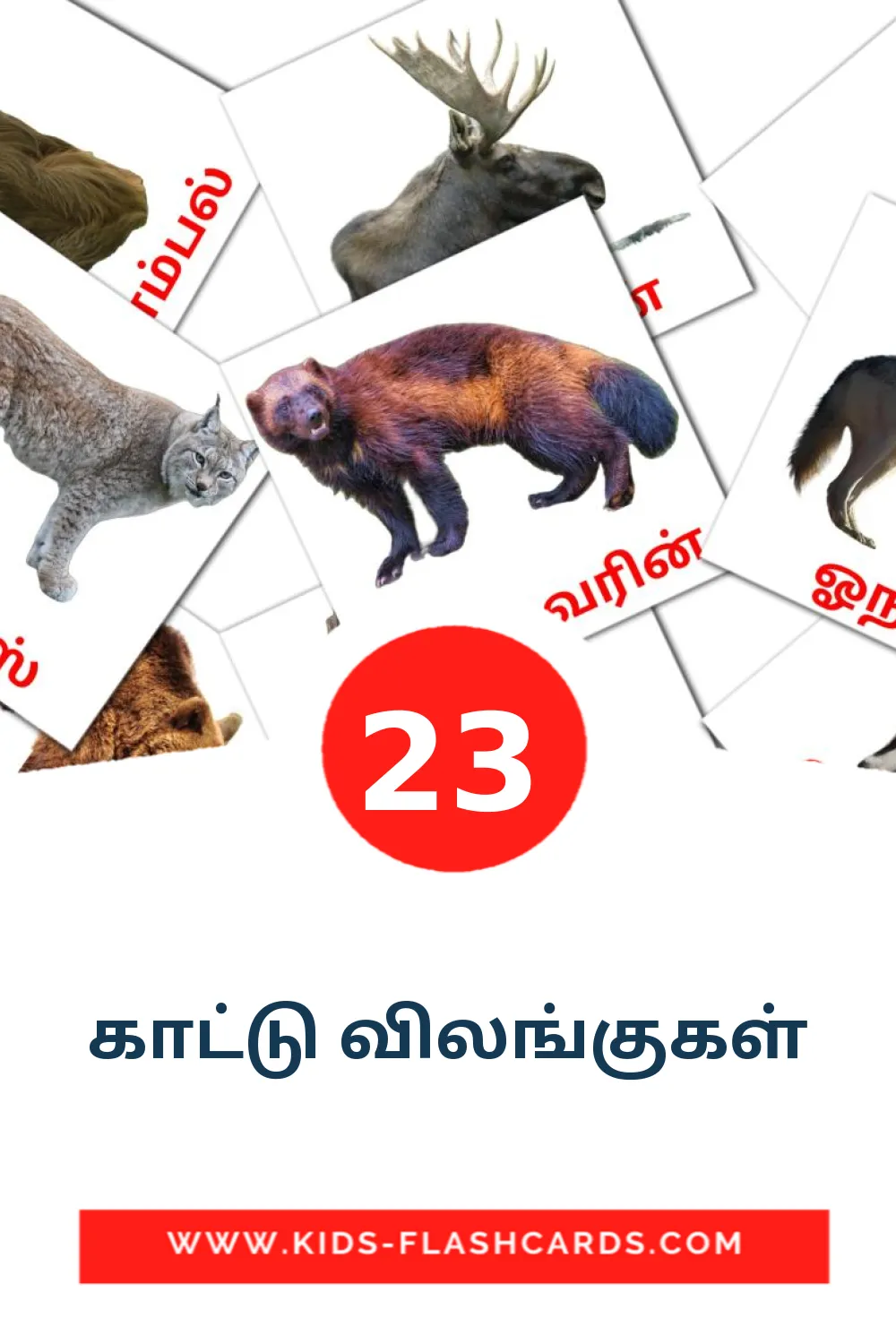 23 ​ ​காட்டு விலங்குகள்  Bildkarten für den Kindergarten auf Tamilisch