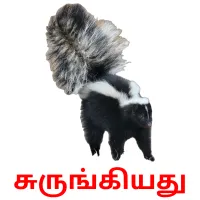 சுருங்கியது Bildkarteikarten