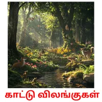 ​ ​காட்டு விலங்குகள் Bildkarteikarten