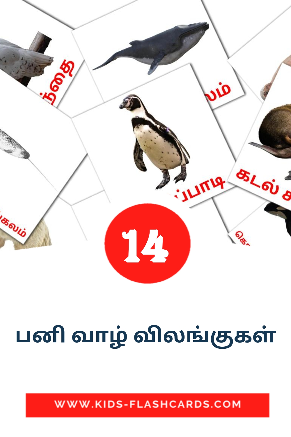 பனி வாழ் விலங்குகள் на тамильском для Детского Сада (14 карточек)