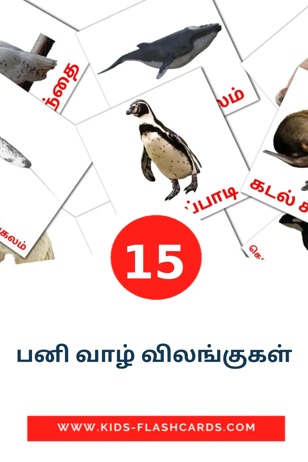 15 பனி வாழ் விலங்குகள் Bildkarten für den Kindergarten auf Tamilisch